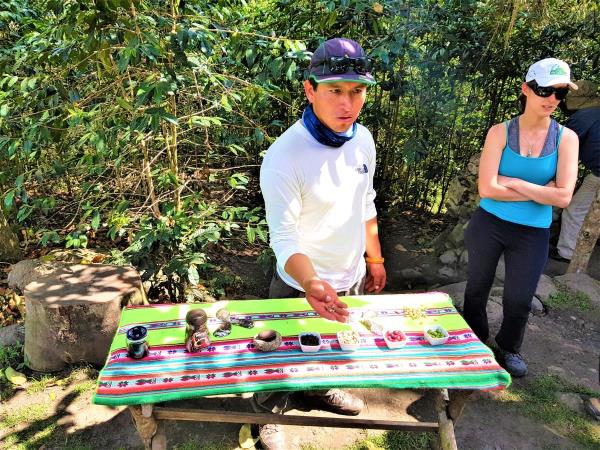 Salkantay trek to Machu Picchu