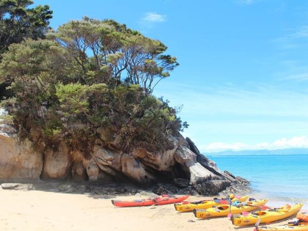 New Zealand self drive tour