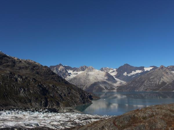 Alaska Glacier Bay and wildlife cruise