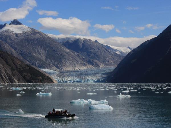 Alaska Glacier Bay and wildlife cruise