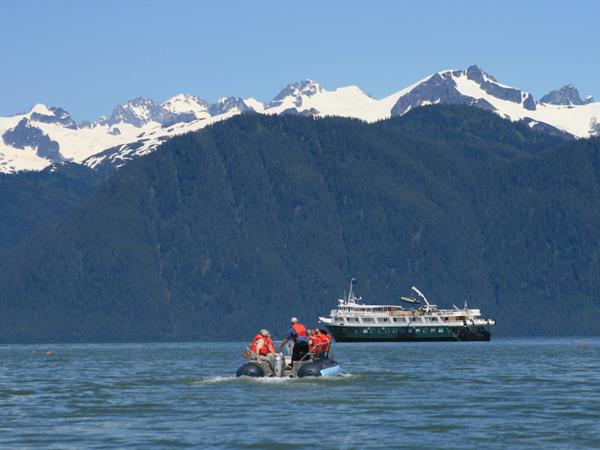 Alaska Glacier Bay and wildlife cruise
