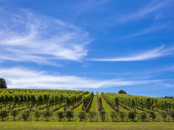 Luxury self drive holiday in New Zealand