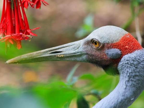 New Zealand wildlife holiday