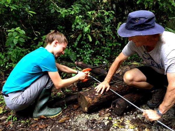 Borneo orangutan conservation volunteering