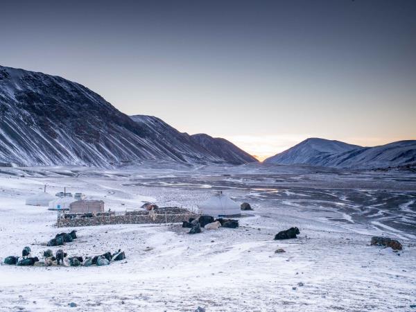 Eagle hunter homestay in Mongolia