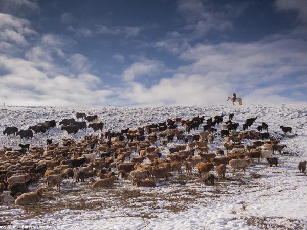 Eagle hunter homestay in Mongolia