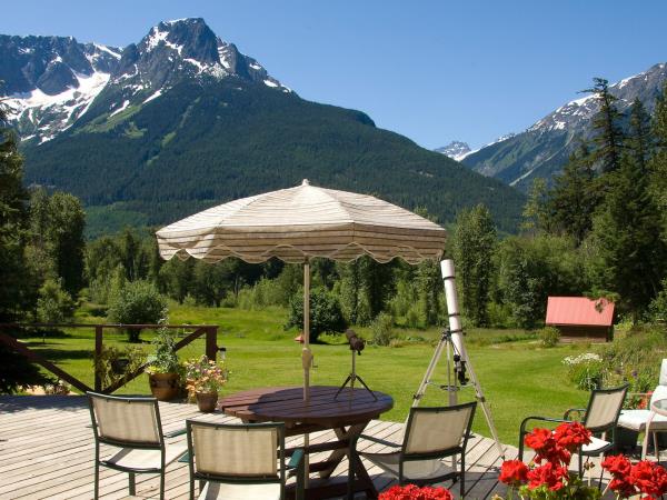 Grizzly bear tour in British Columbia