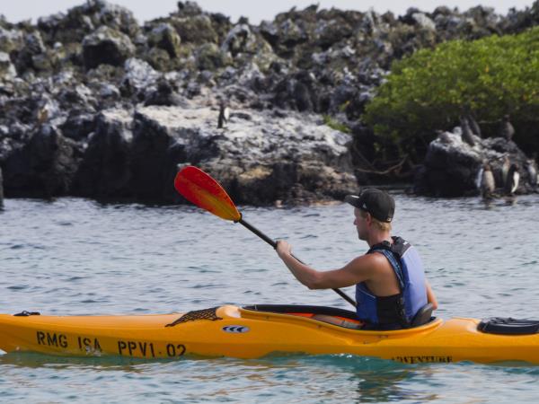 Galapagos and Amazon Wildlife holiday