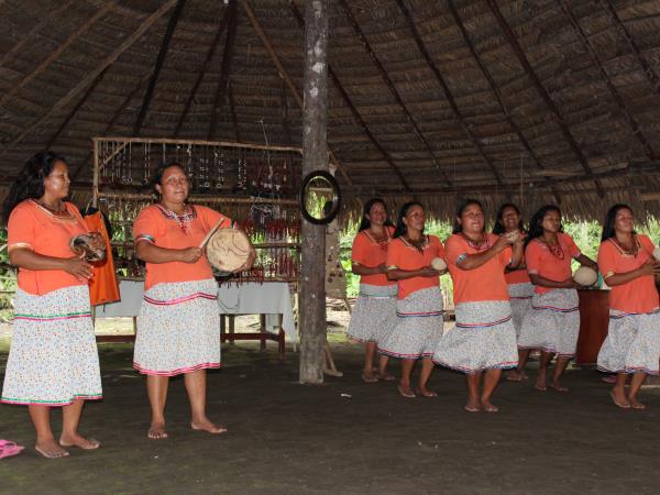 Galapagos and Amazon Wildlife holiday