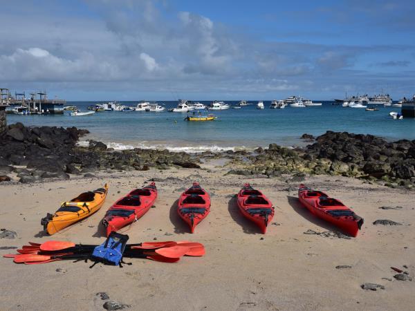 Galapagos and Amazon Wildlife holiday