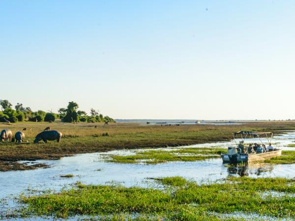 Botswana family Safari with teenagers holiday