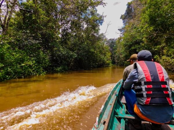 Orangutan sanctuary volunteering in Borneo