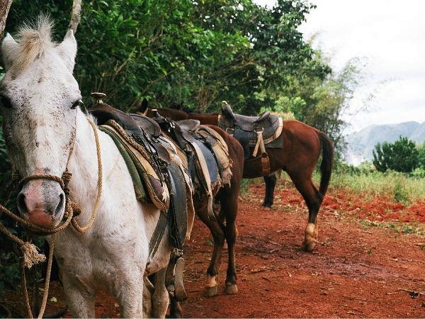 Cuba highlights holiday