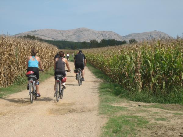 Catalonia holiday, cycling and relaxation