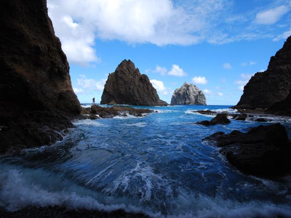 Whale shark safari in St Helena
