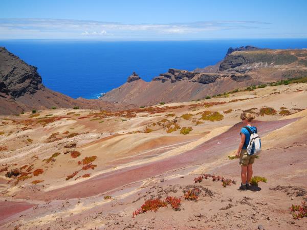 Whale shark safari in St Helena