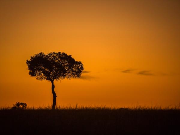 Family safari and beach holidays in Kenya