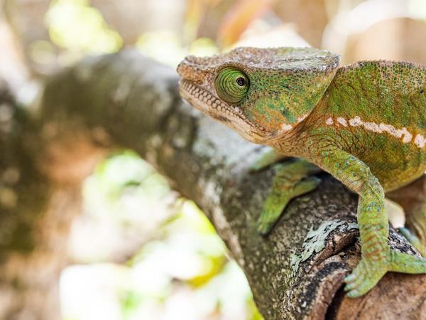 Southern Madagascar photography holiday