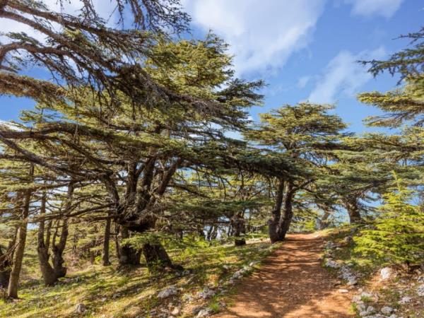 Small group Lebanon tour