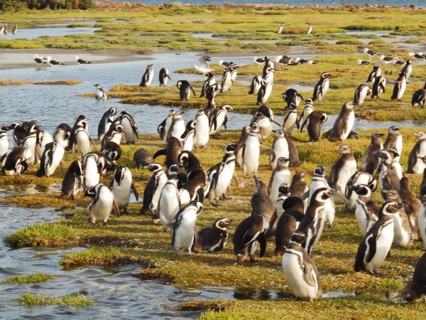 Argentina country tour, tailor made