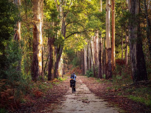 Atlantic Coast cycling holiday in Portugal