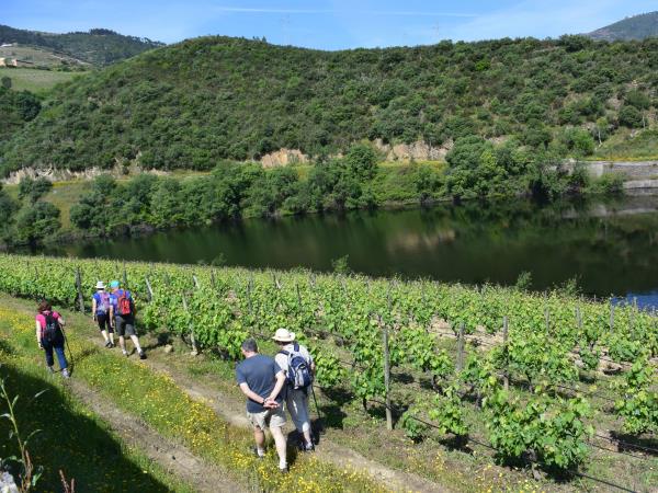 Walking and wine tour of Portugal