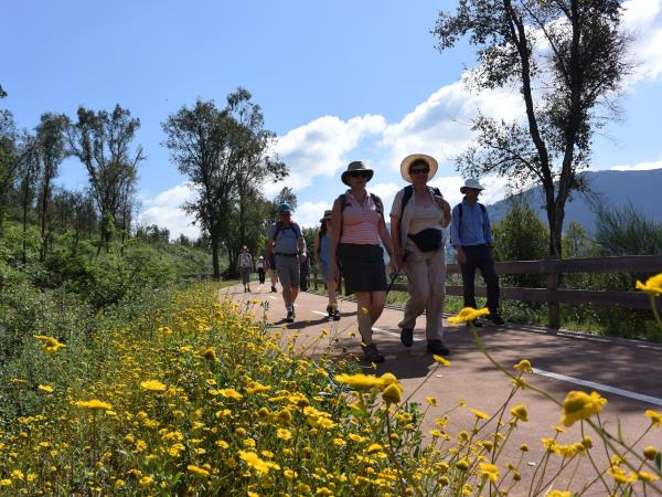 Walking and wine tour of Portugal