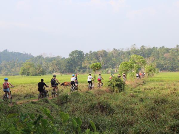 Sri Lanka community volunteering