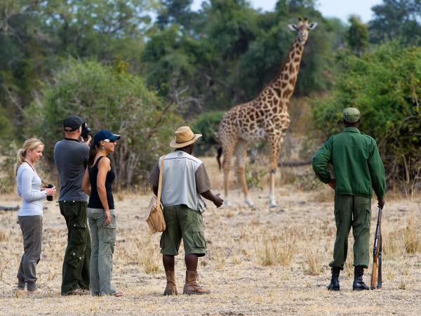 Zambia wildlife holiday, the Luangwa Valley