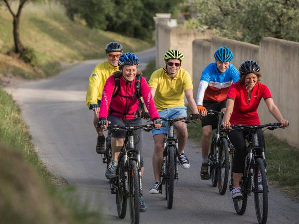 Cycling holiday in Provence