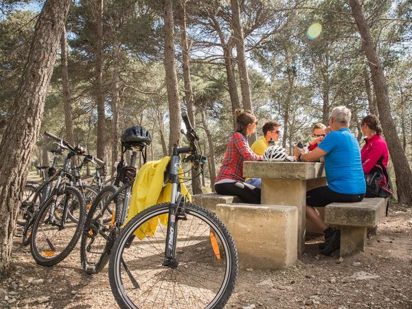 Cycling holiday in Provence