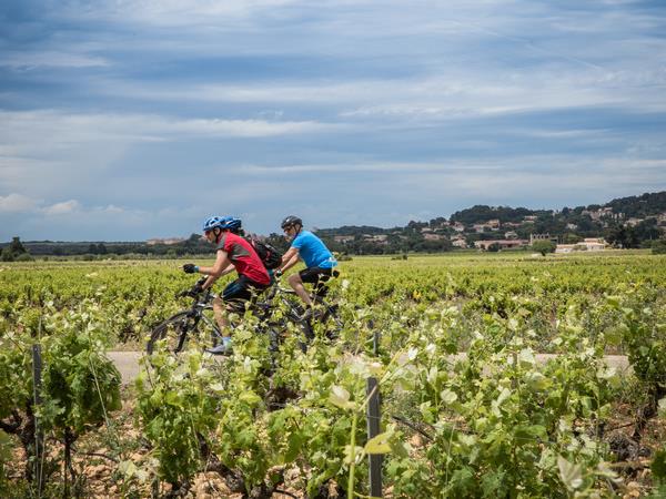 Cycling holiday in Provence