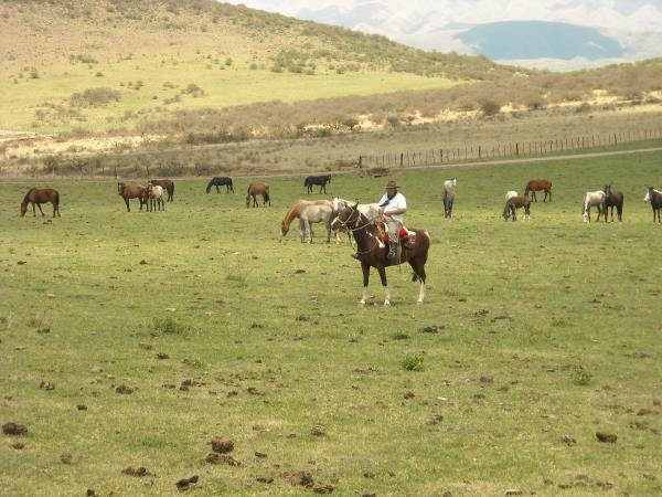 Salta Valley horseridng holiday in Argentina