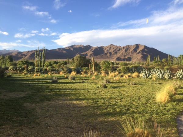 Salta Valley horseridng holiday in Argentina