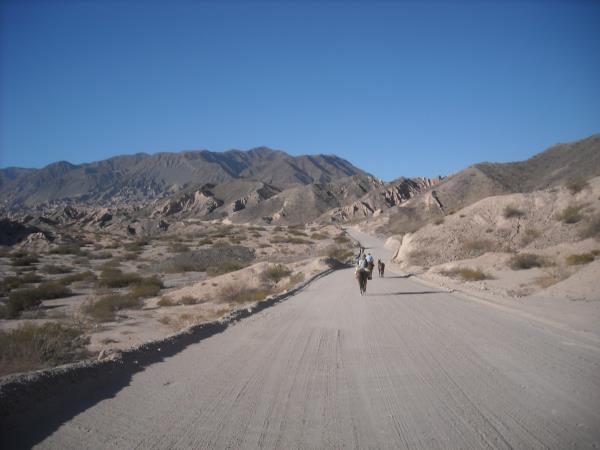 Argentina horseriding holiday in Calchaqui Valley
