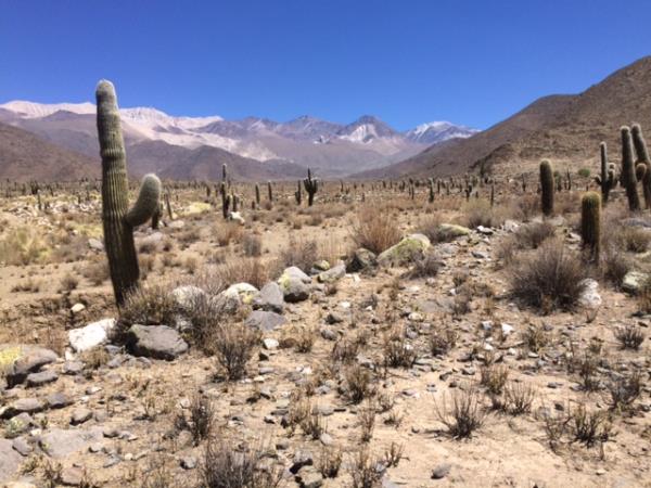 Argentina horseriding holiday in Calchaqui Valley