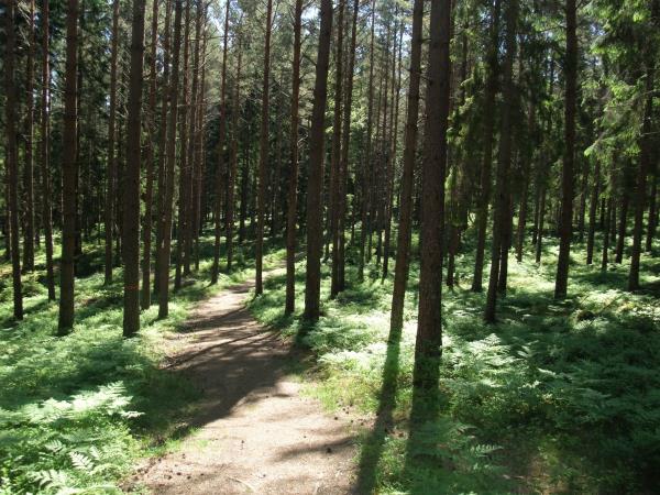 Stockholm archipelago walking holiday