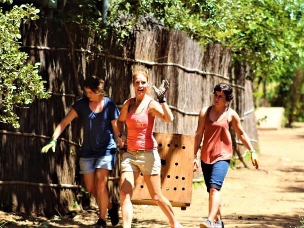 Veterinary externship in Malawi