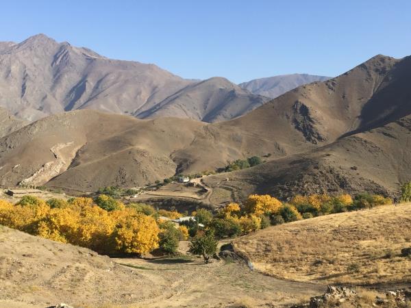 Uzbekistan holidays, tailor made