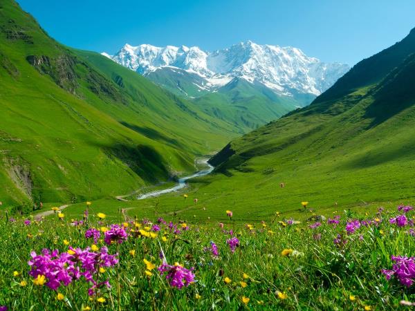 Holiday in Georgia, tailor made