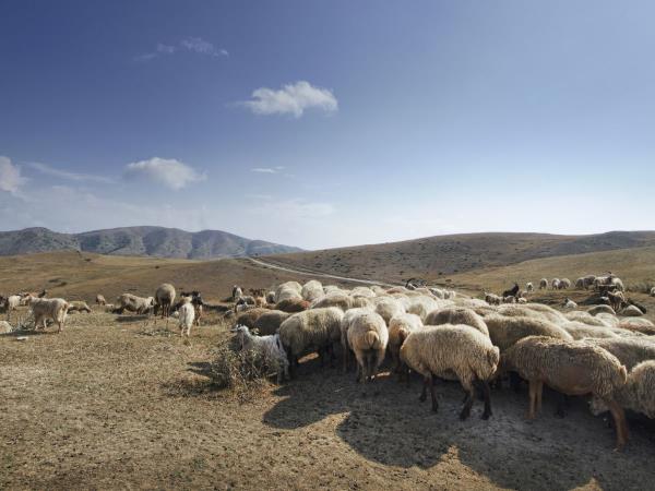 Azerbaijan holiday, tailor made