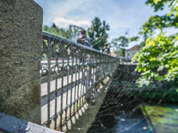 Lithuania family holiday