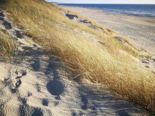 Lithuania family holiday