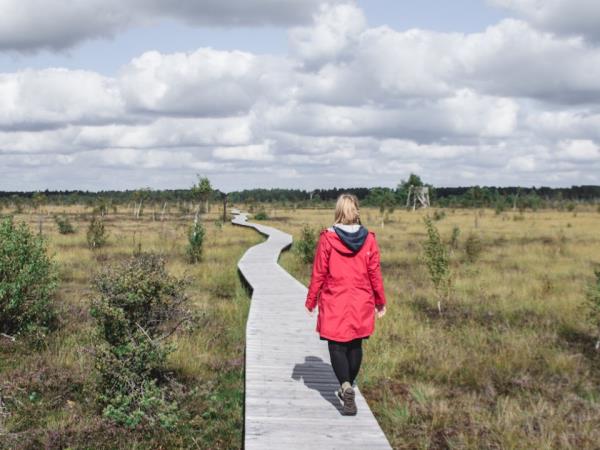 Lithuania cultural holiday
