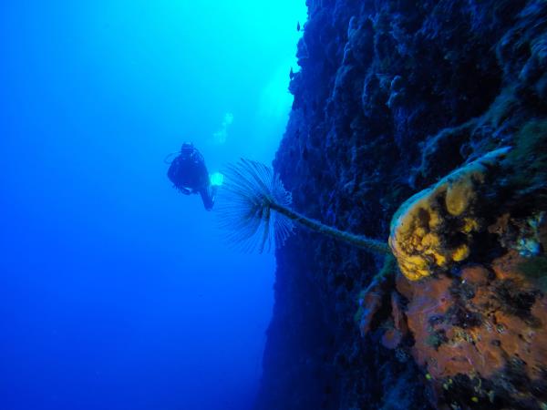 Learn scuba diving in Greece