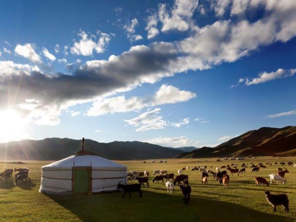 Trans Mongolian 21 day tour, 18-35