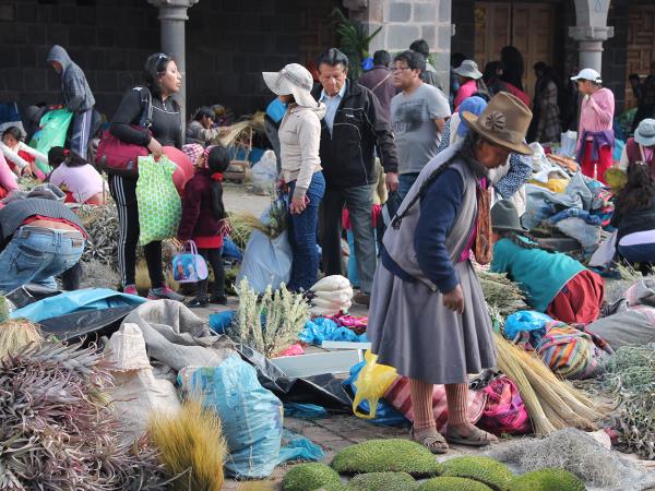 Peru self-drive holiday