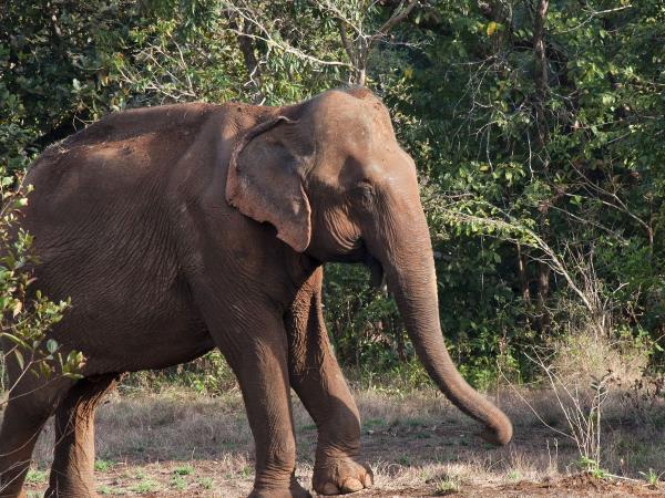 Cambodia holiday, tailor made