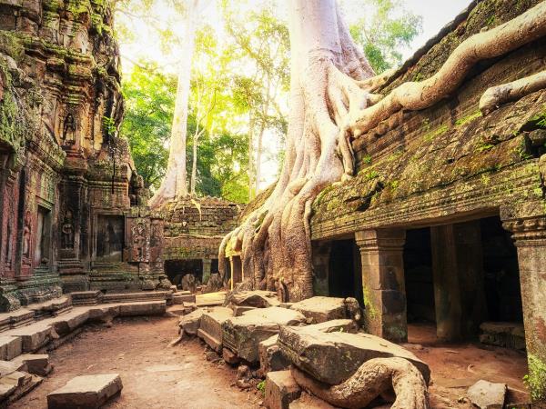 Cambodia holiday, tailor made