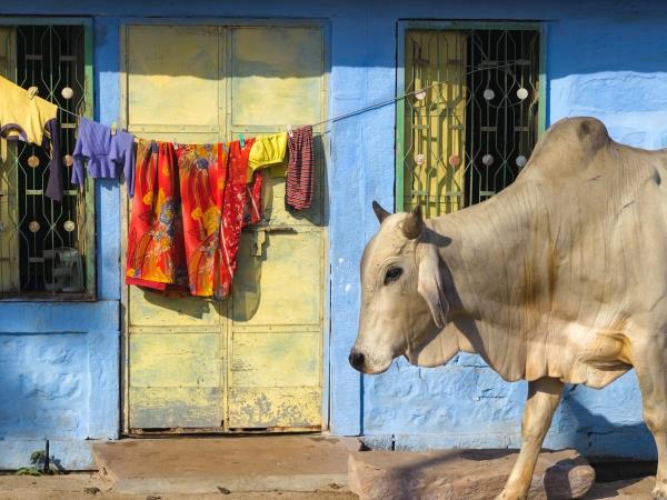 North India tailormade holiday